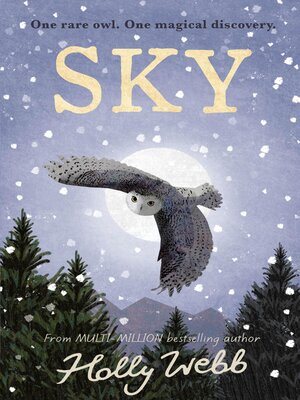 cover image of Sky